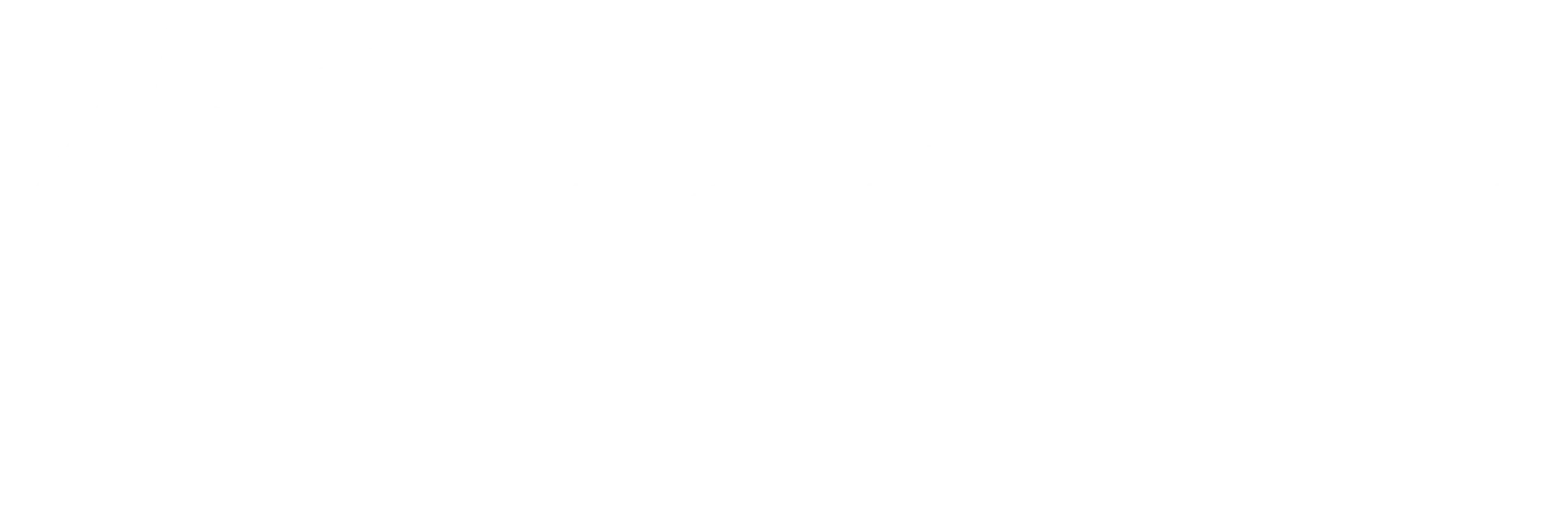 Knotion